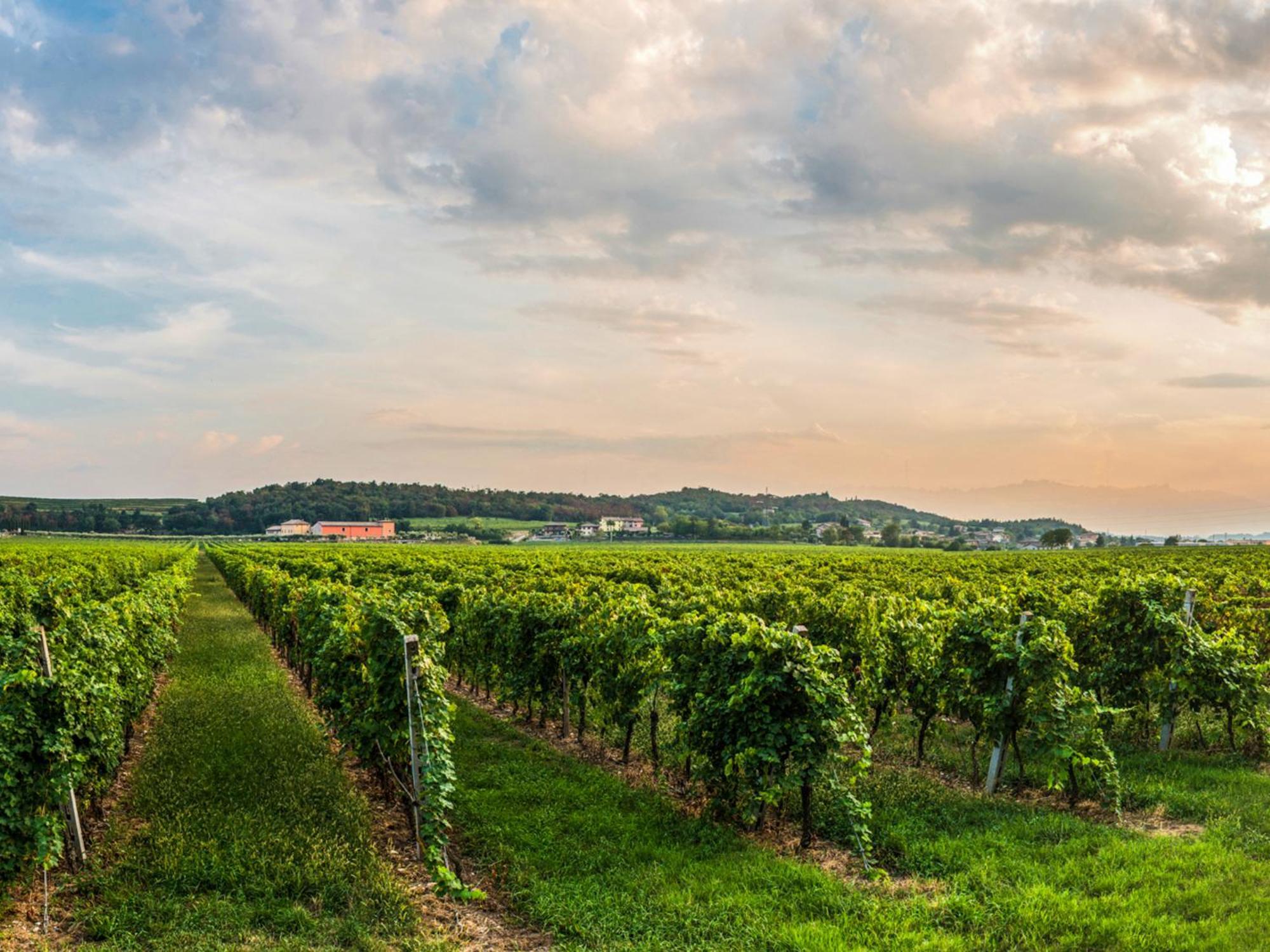 Tenuta La Presa Caprino Veronese Eksteriør bilde